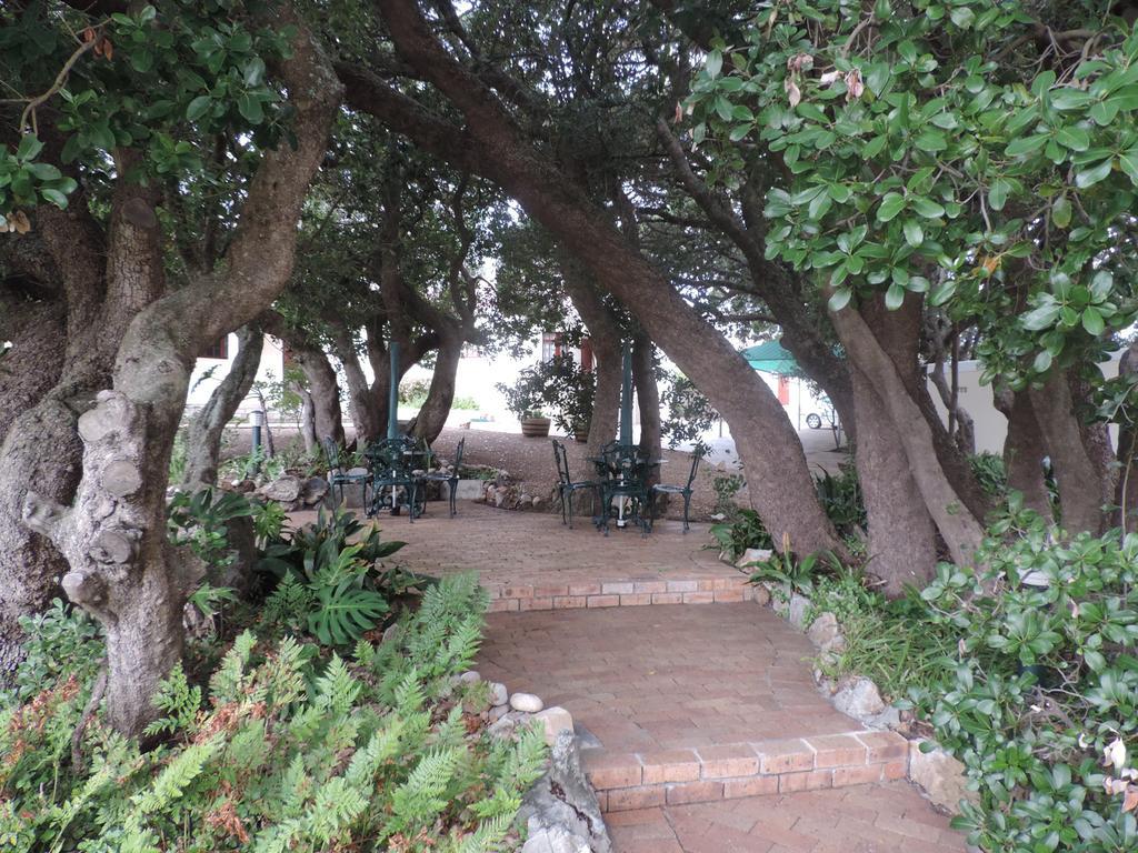 Milkwood Lodge Hermanus Dış mekan fotoğraf