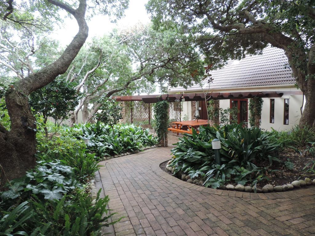 Milkwood Lodge Hermanus Dış mekan fotoğraf