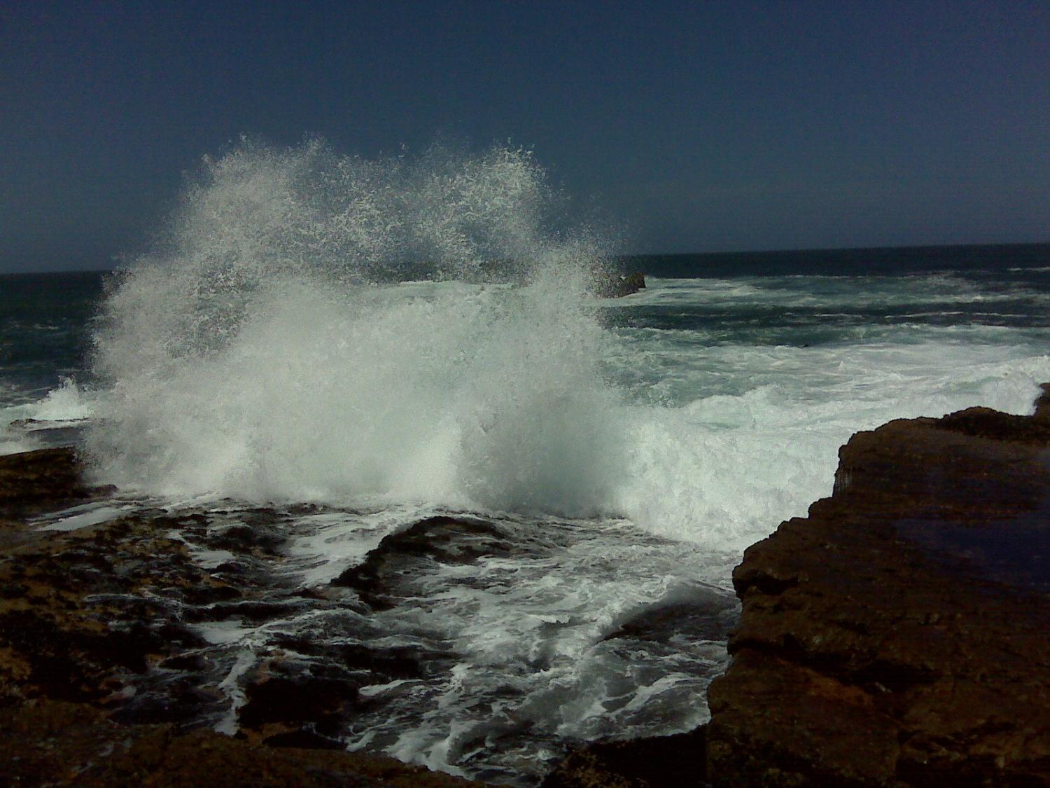 Milkwood Lodge Hermanus Dış mekan fotoğraf